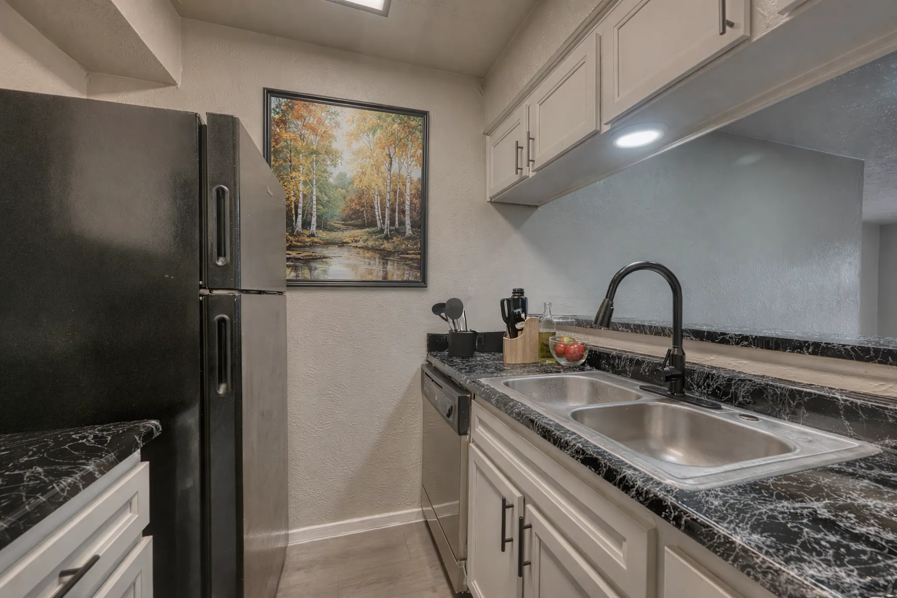 Galley kitchen with pale cabinets, dark stone-look counters, and a double sink at Regal Court