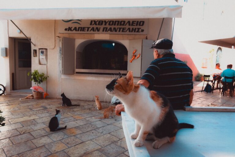 Photo Pet-Friendly Apartments