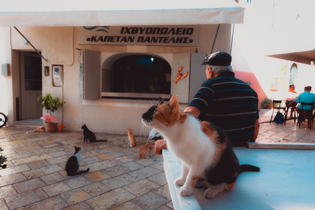Photo Pet-Friendly Apartments