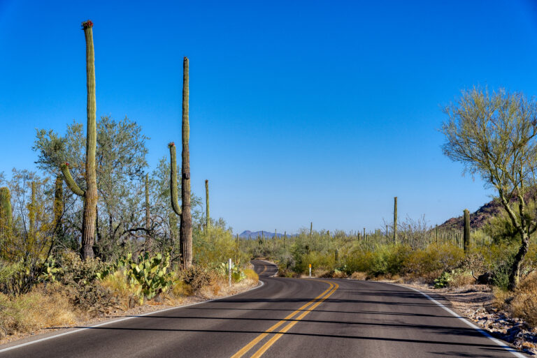 Discover Regal Court Apartments | Apply Online in Dallas TX